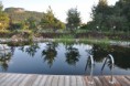 /album/fotogalerie/dsc-0395-copy-jpg/